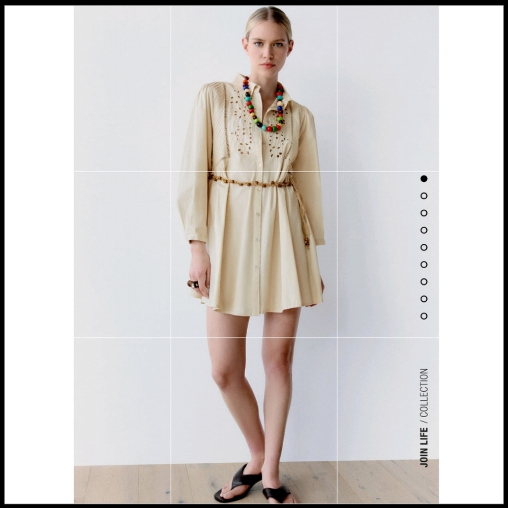 NWT Zara belted shirt dress